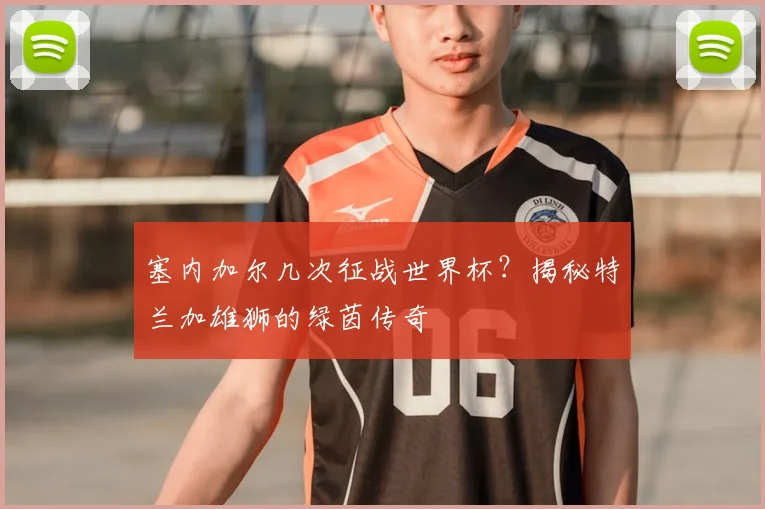 塞内加尔几次征战世界杯?揭秘特兰加雄狮的绿茵传奇