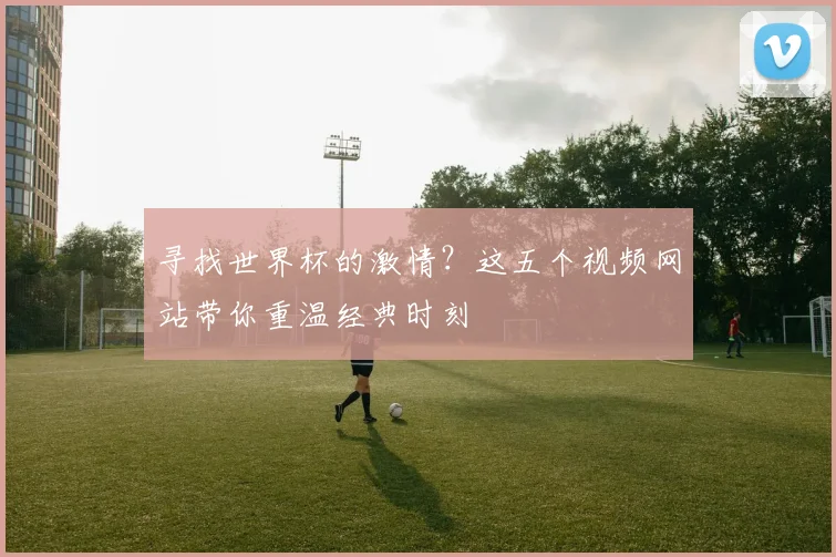 寻找世界杯的激情?这五个视频网站带你重温经典时刻