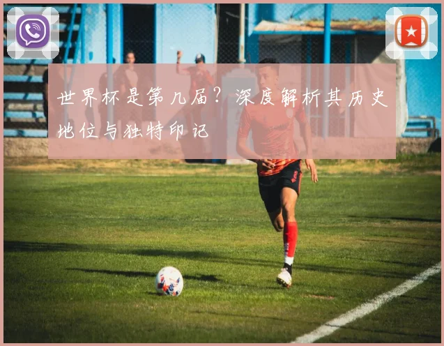 世界杯是第几届?深度解析其历史地位与独特印记