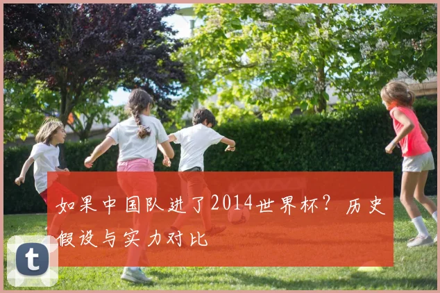 如果中国队进了2014世界杯?历史假设与实力对比