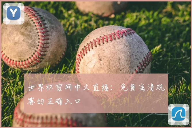 世界杯官网中文直播：免费高清观赛的正确入口