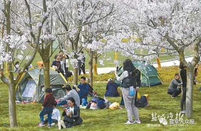微信图片_20170407144629.jpg