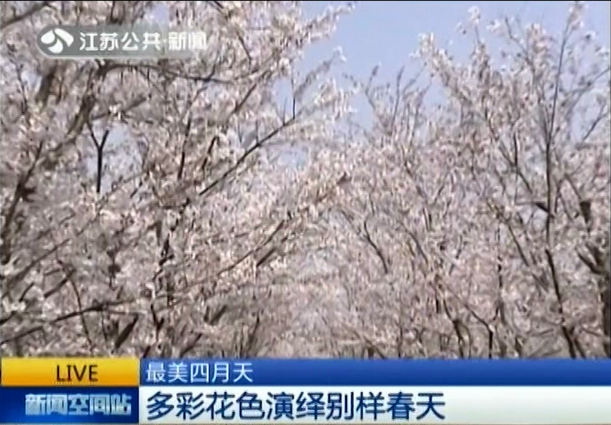 江苏公共新闻报道大洋湾_副本.jpg