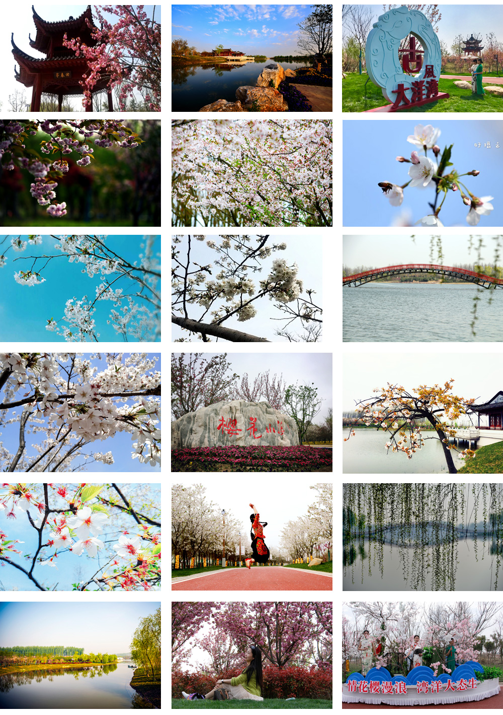 业余组.jpg