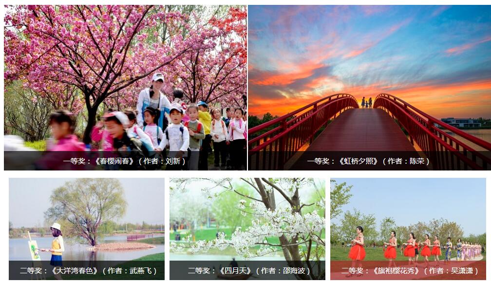 专业组一二等奖.jpg